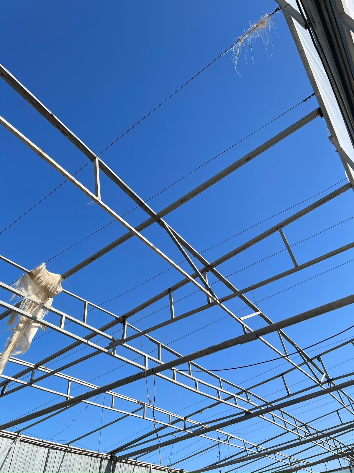 Detalle estructura invernadero plano